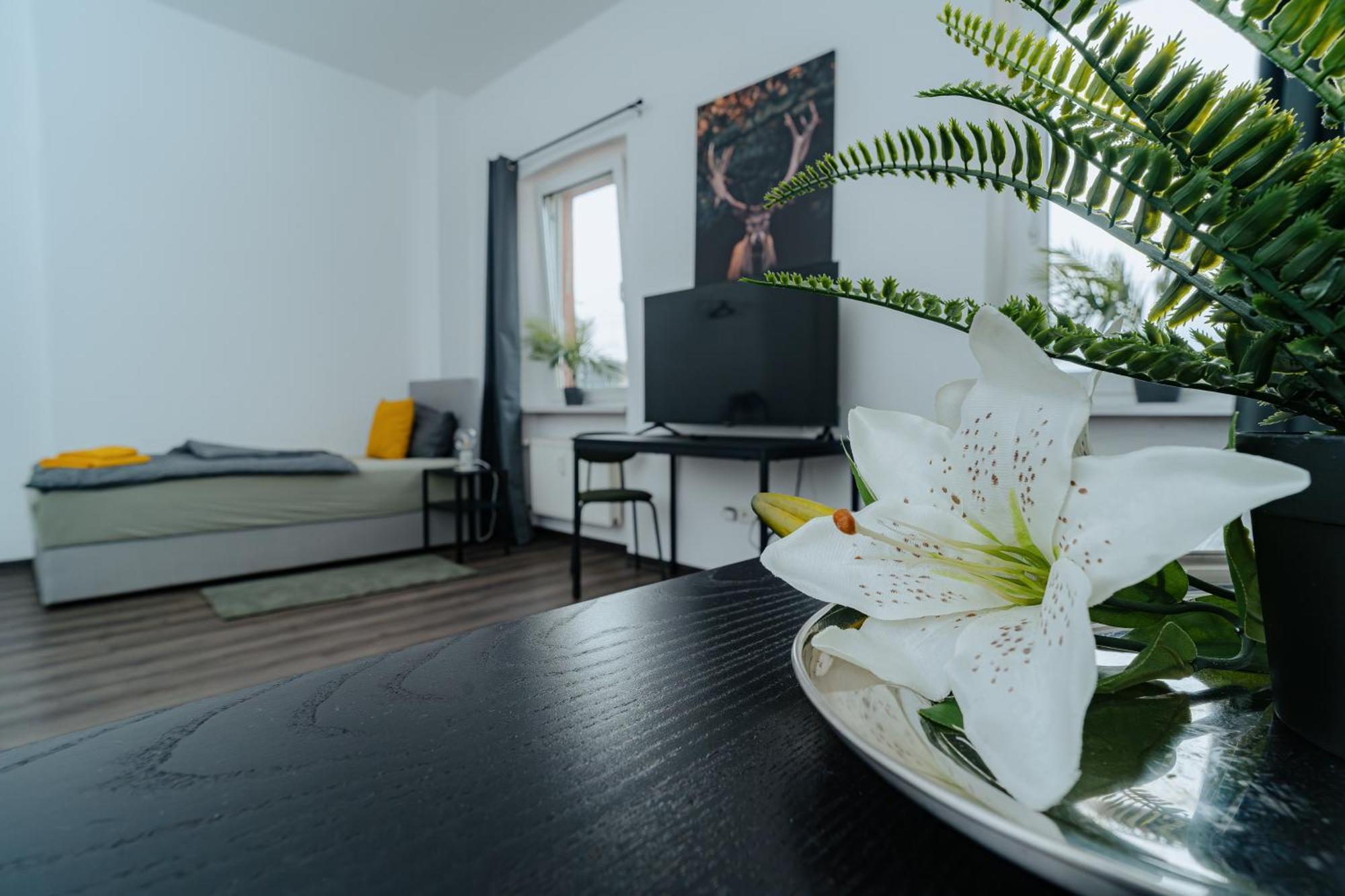 Am Alten Loehrtor Apartment Koblenz (Rhineland-Palatinate)