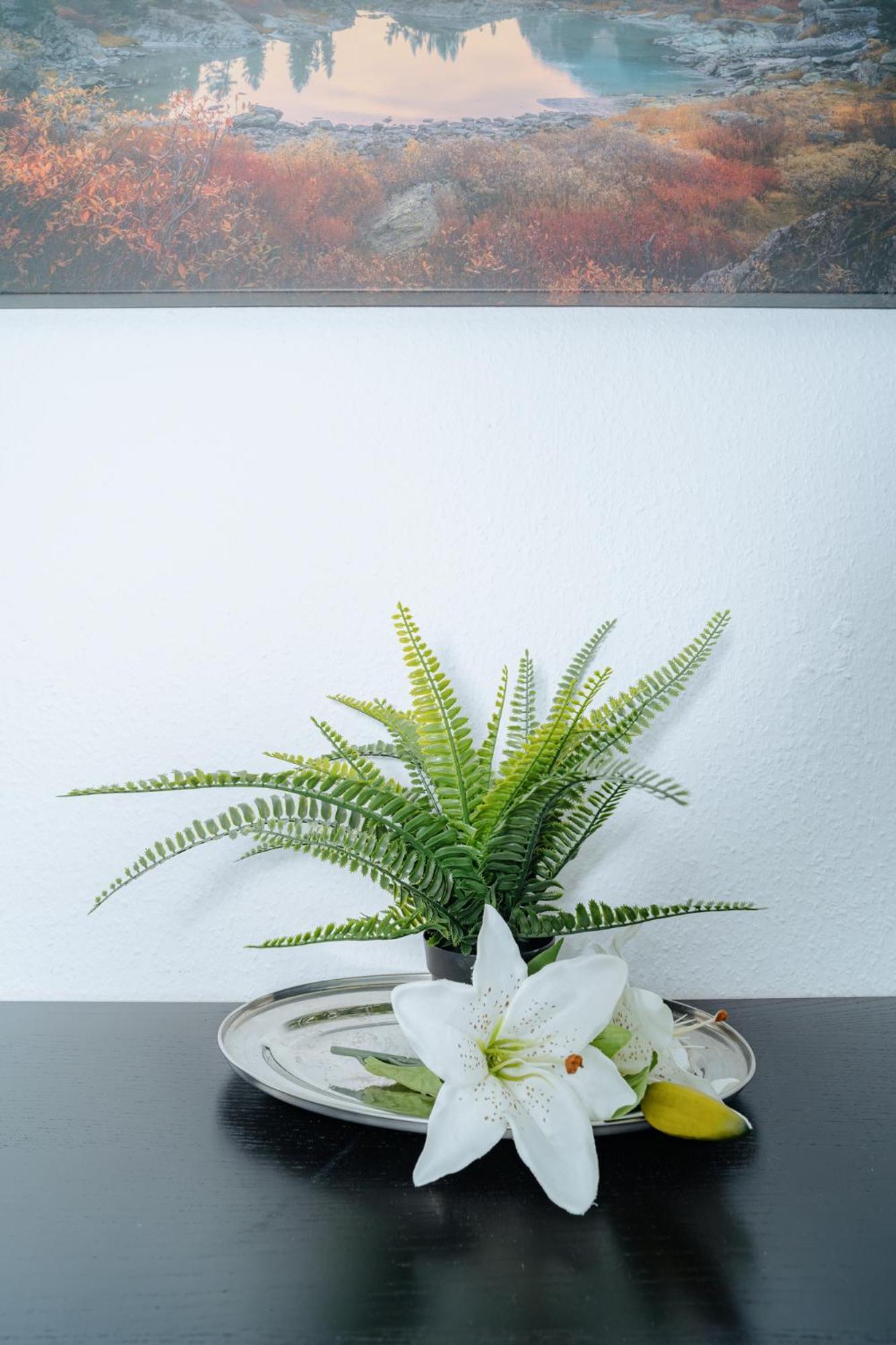 Am Alten Loehrtor Apartment