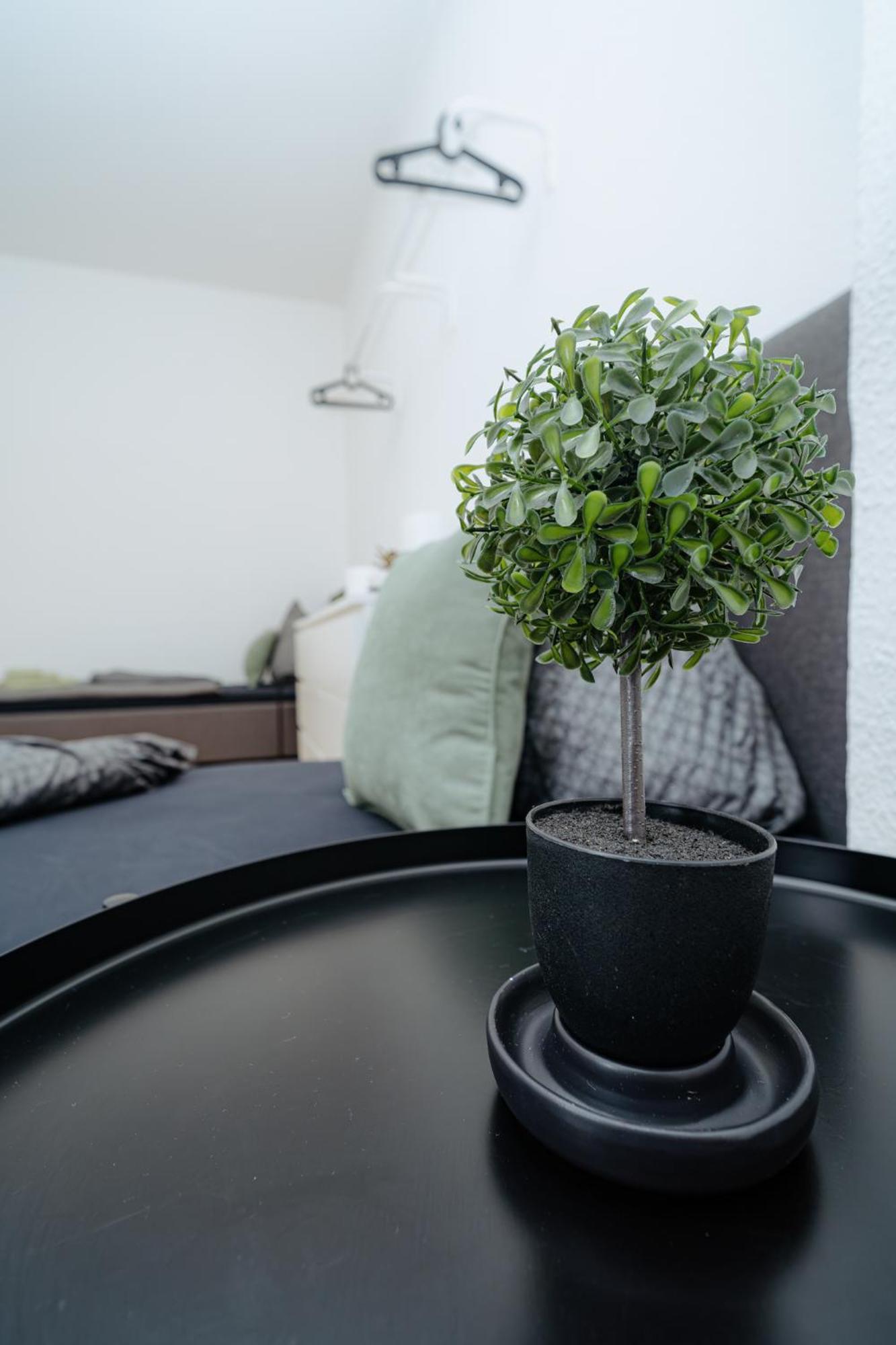 Am Alten Loehrtor Apartment Koblenz (Rhineland-Palatinate)